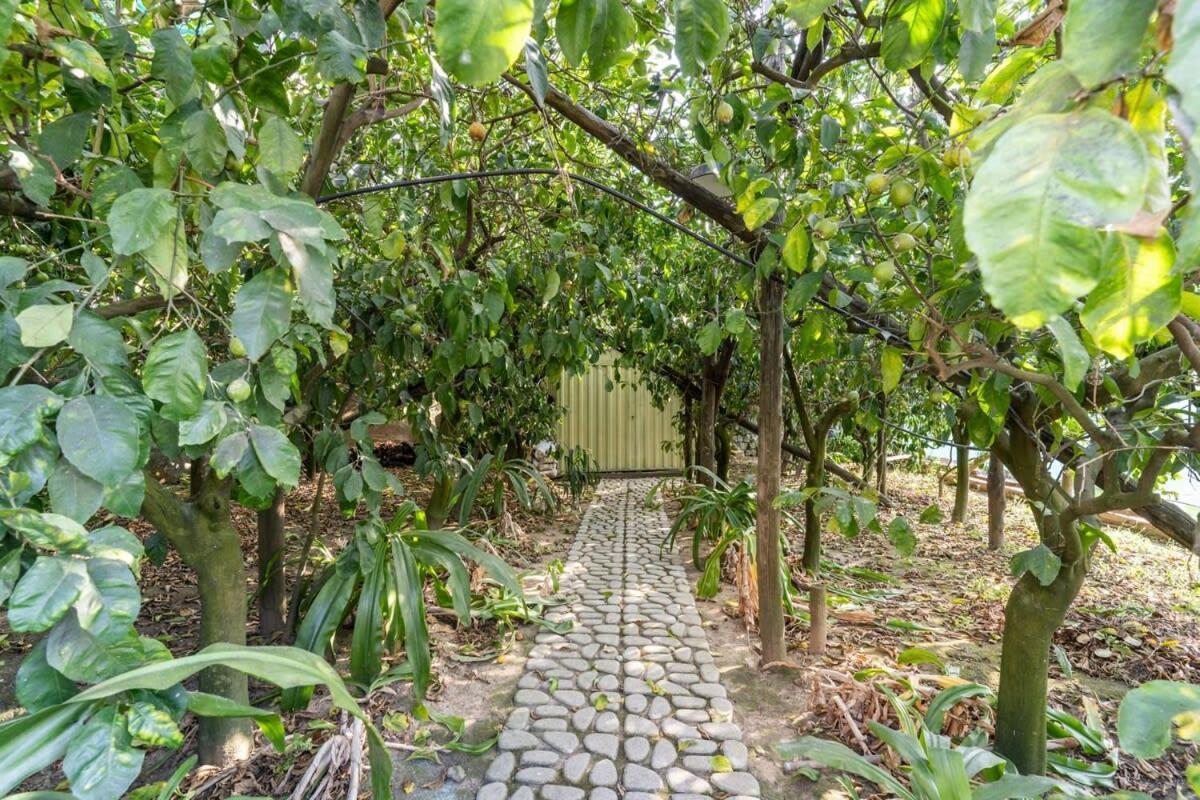 Villa Mimosa Rustic Elegance Views & Pool Massa Lubrense Exterior photo